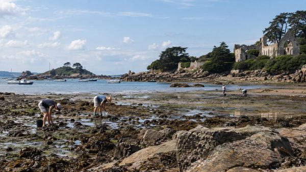 Des activités surprenantes à faire autour de Paimpol