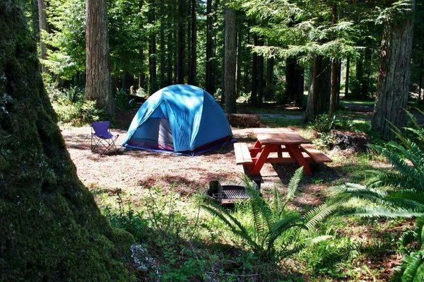 Pourquoi choisir des vacances authentiques dans les landes avec domaine les oréades